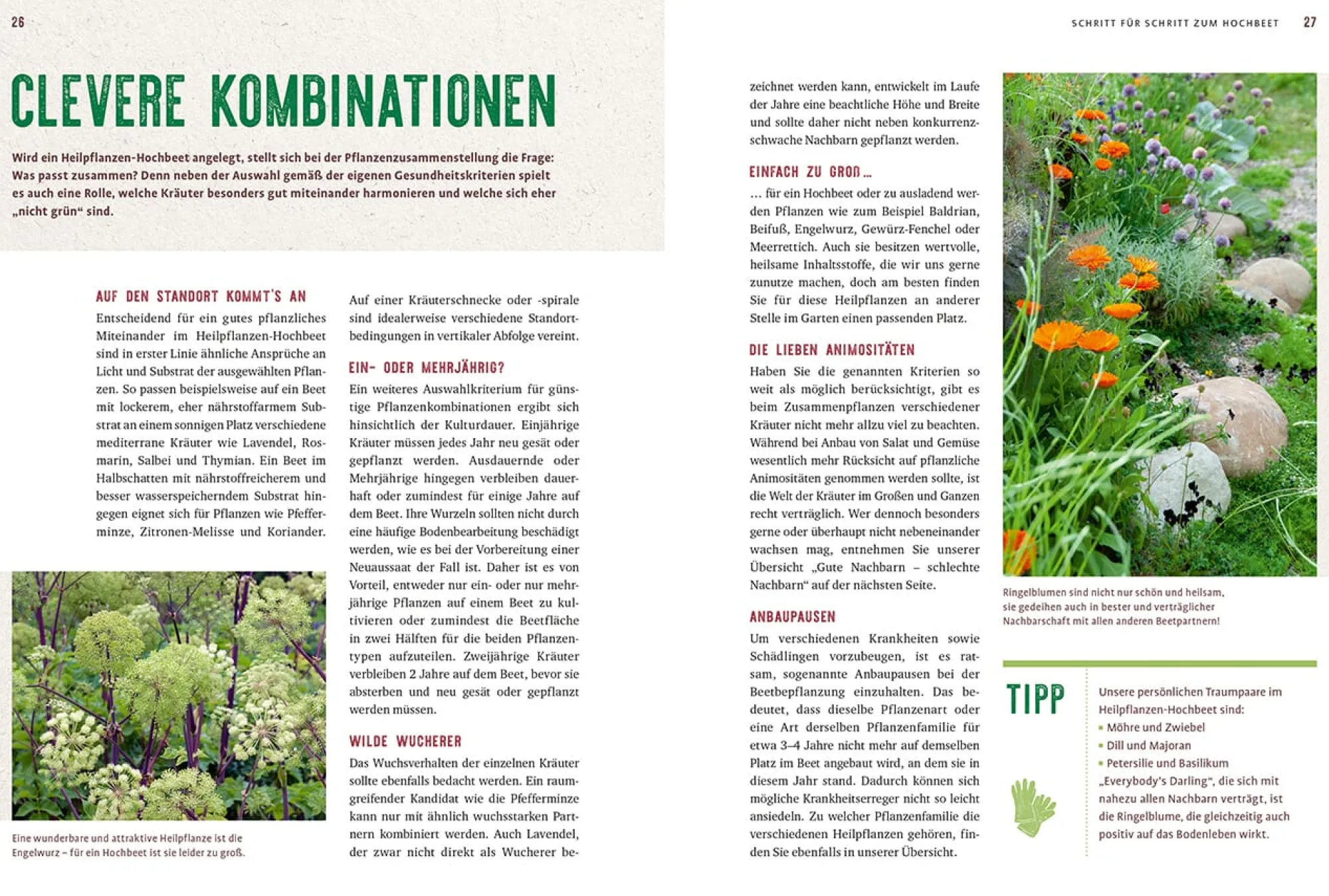 Garten & Natur|Ratgeber * Ulmer Verlag Mein Heilpflanzen-Hochbeet