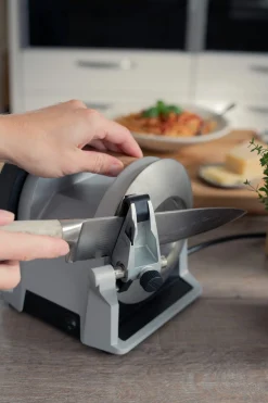 Schärfgeräte * Tormek Messerschleifmaschine T-1