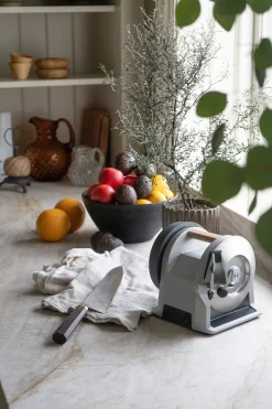 Schärfgeräte * Tormek Messerschleifmaschine T-1