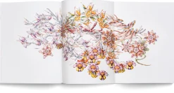 Garten & Natur|Sachbücher * Hatje Cantz Verlag Miron Schmückle