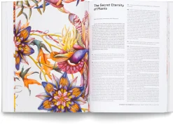 Garten & Natur|Sachbücher * Hatje Cantz Verlag Miron Schmückle