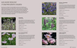 Garten & Natur|Ratgeber * Prestel Verlag Morgen grüner