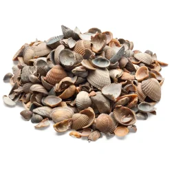Pflanzenschutz * herb's Bioland Muschelmulch