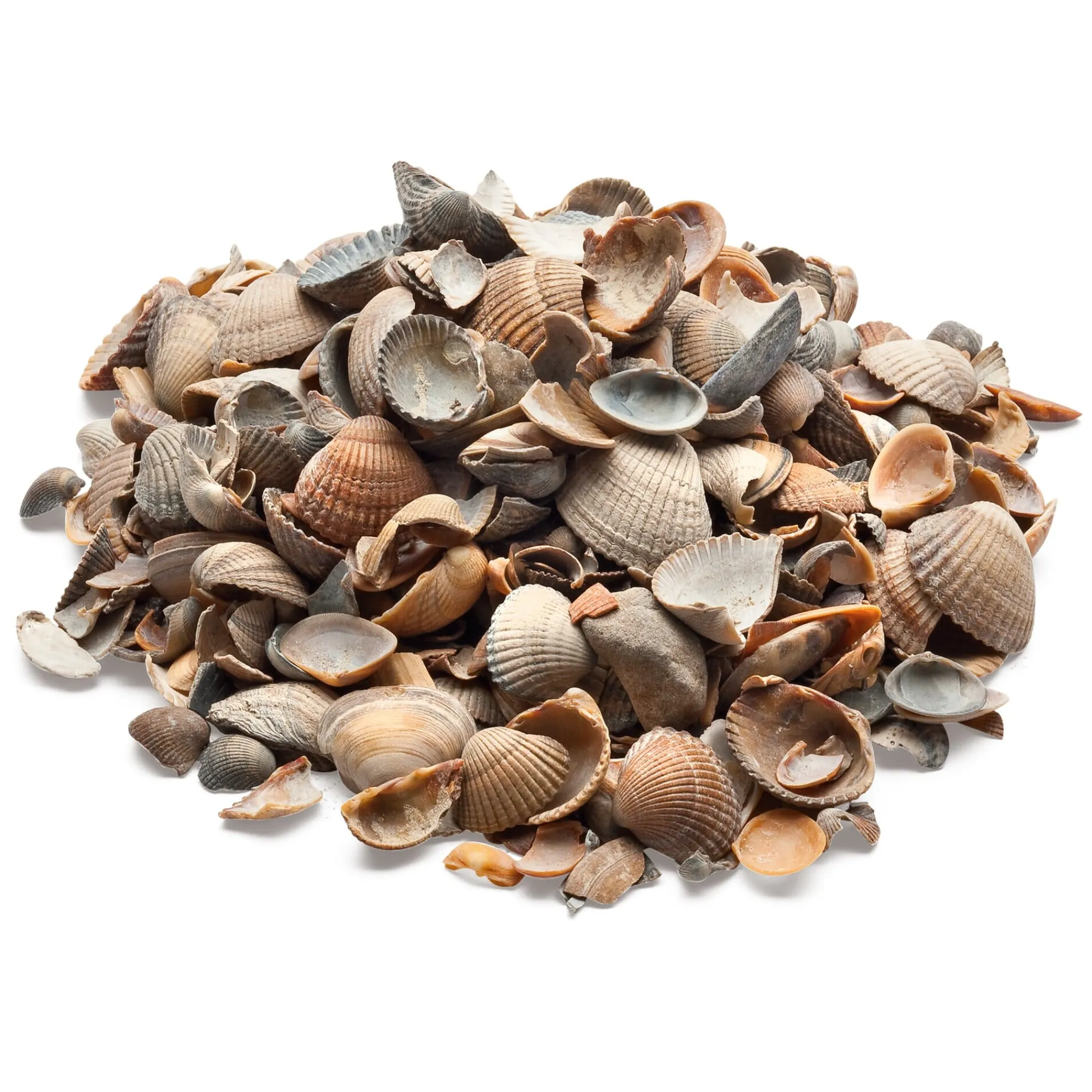 Pflanzenschutz * herb's Bioland Muschelmulch
