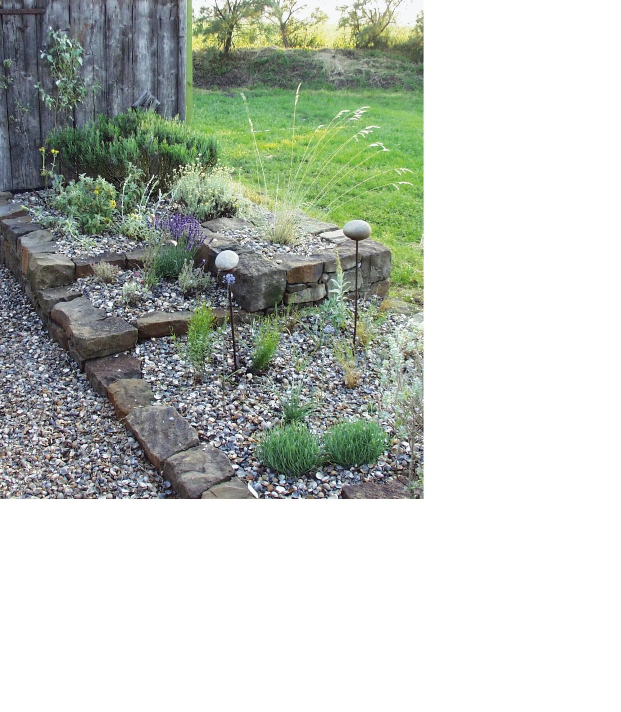 Pflanzenschutz * herb's Bioland Muschelmulch