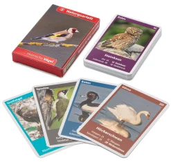 Gesellschaftsspiele|Gesellschaftsspiele * Quelle ＆ Meyer Verlag Naturquartett Heimische Vögel