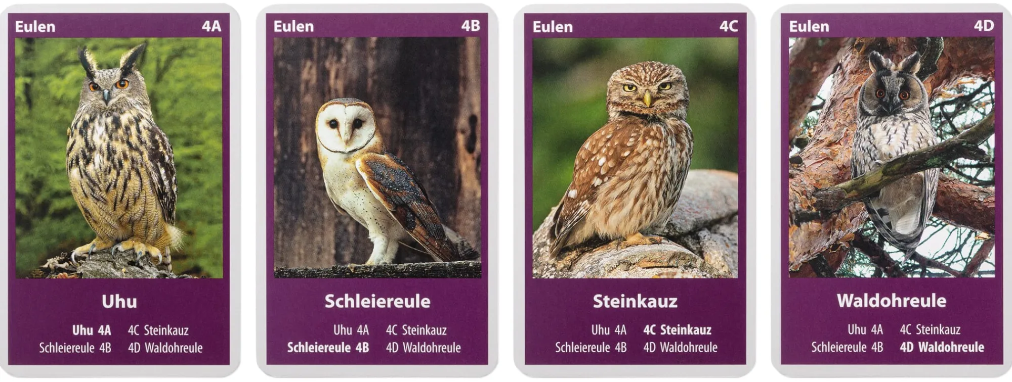 Gesellschaftsspiele|Gesellschaftsspiele * Quelle & Meyer Verlag Naturquartett Heimische Vögel