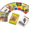 Gesellschaftsspiele|Gesellschaftsspiele * Quelle ＆ Meyer Verlag Naturquartett Tiere im Garten
