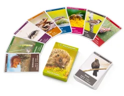 Gesellschaftsspiele|Gesellschaftsspiele * Quelle & Meyer Verlag Naturquartett Tiere im Garten