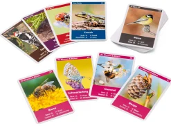 Gesellschaftsspiele|Gesellschaftsspiele * Quelle ＆ Meyer Verlag Naturquartett Tiere im Garten