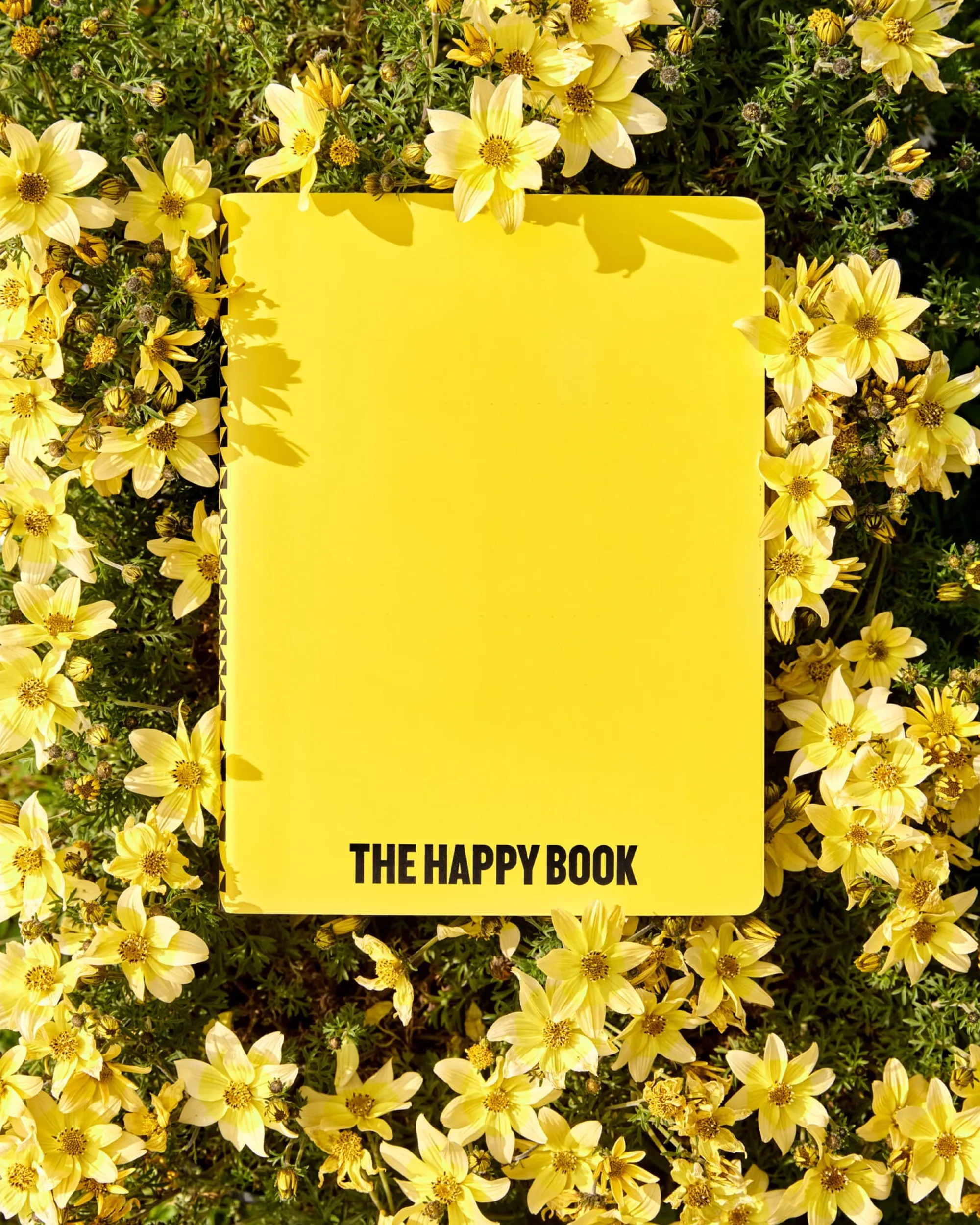 Notizbücher * nuuna Notizbuch The Happy Book