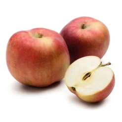 Obstgehölze * Martin Müller Baumschulen Obstgehölz Säulenapfel 'Black McIntosh'