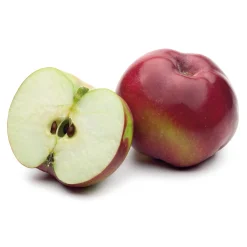 Obstgehölze * Martin Müller Baumschulen Obstgehölz Säulenapfel 'Black McIntosh'