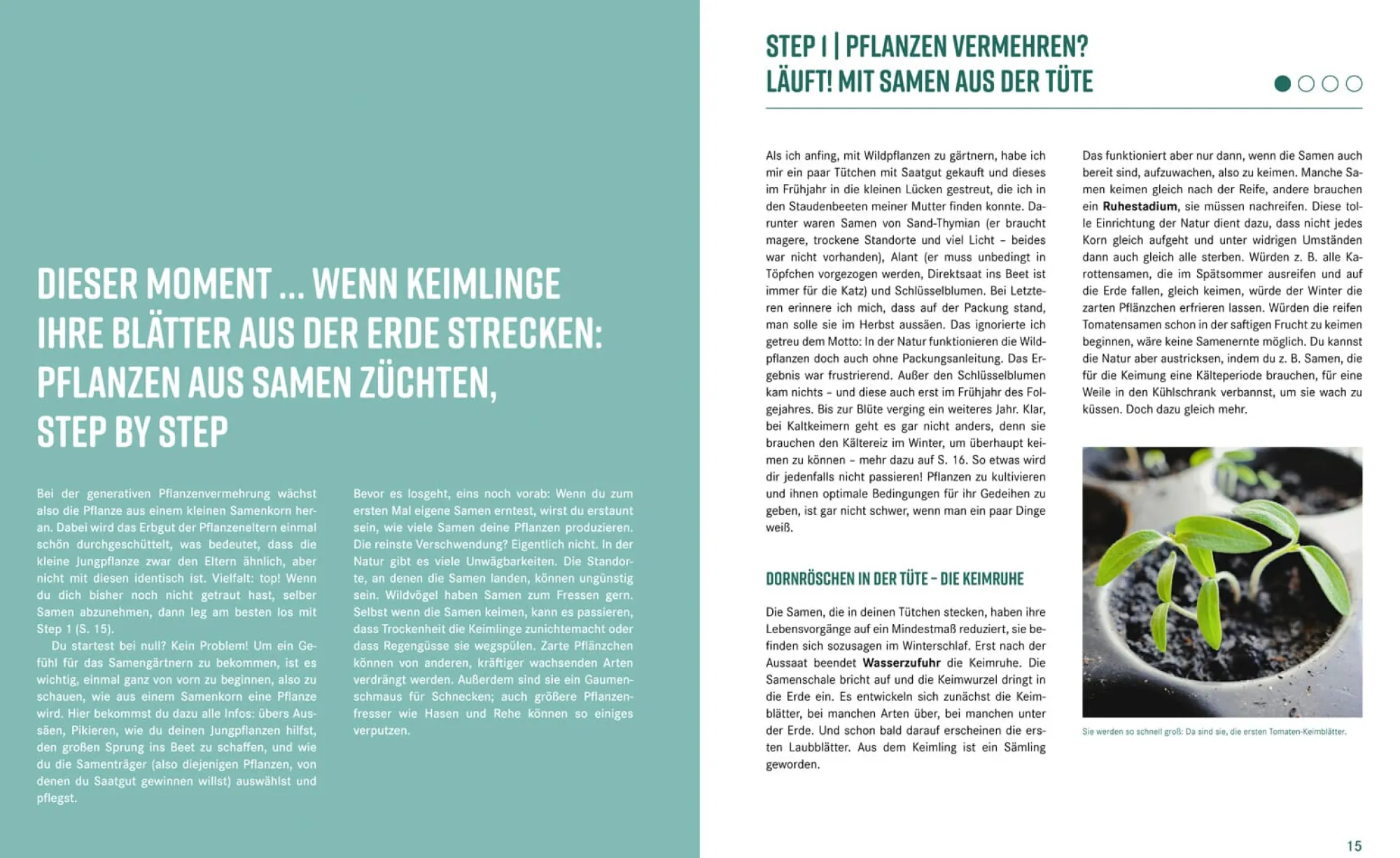 Garten & Natur|Ratgeber * Löwenzahn Verlag Pflanzen-Lovestory