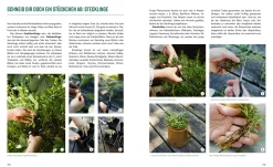 Garten & Natur|Ratgeber * Löwenzahn Verlag Pflanzen-Lovestory