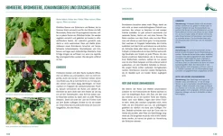 Garten & Natur|Ratgeber * Löwenzahn Verlag Pflanzen-Lovestory