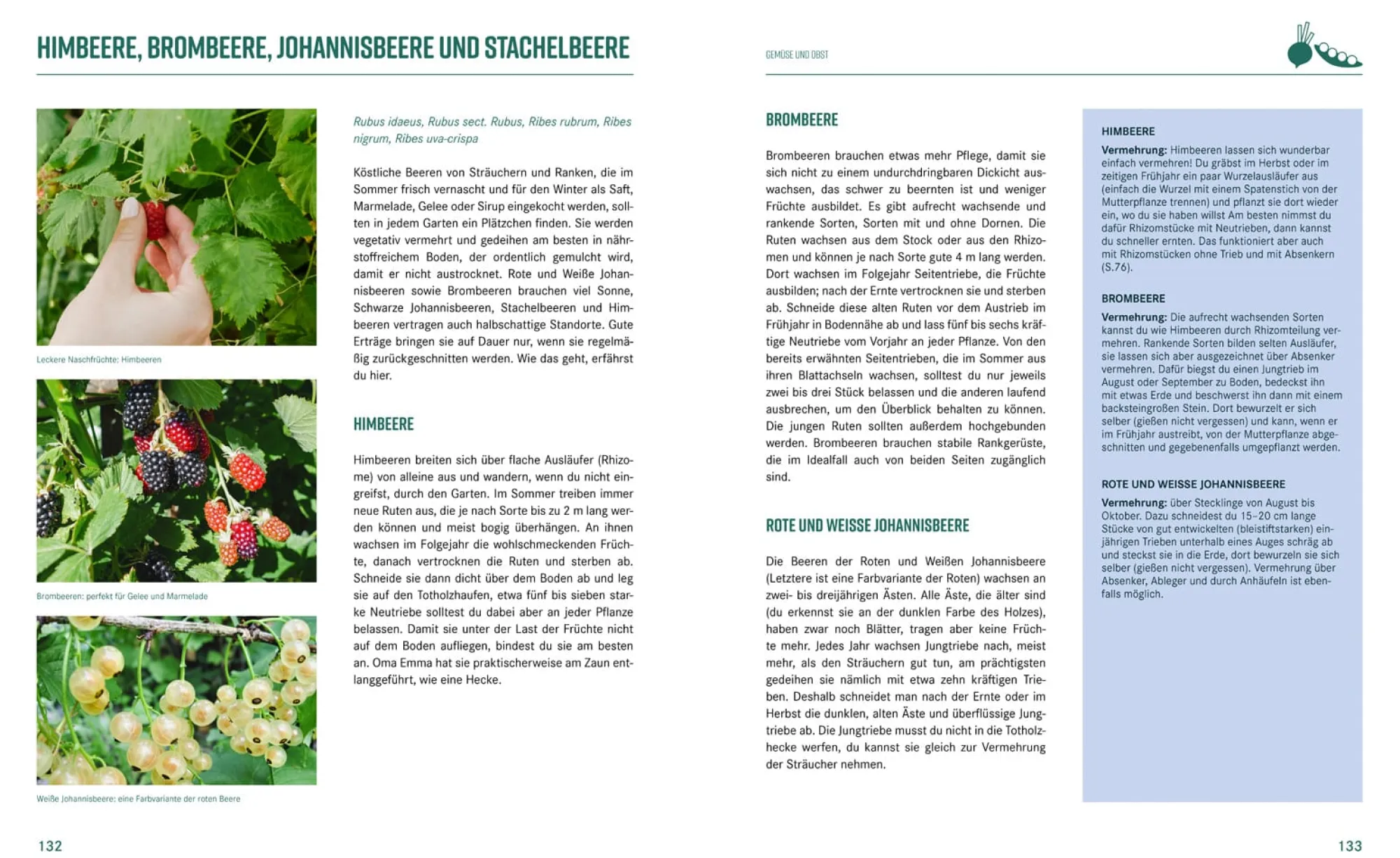 Garten & Natur|Ratgeber * Löwenzahn Verlag Pflanzen-Lovestory