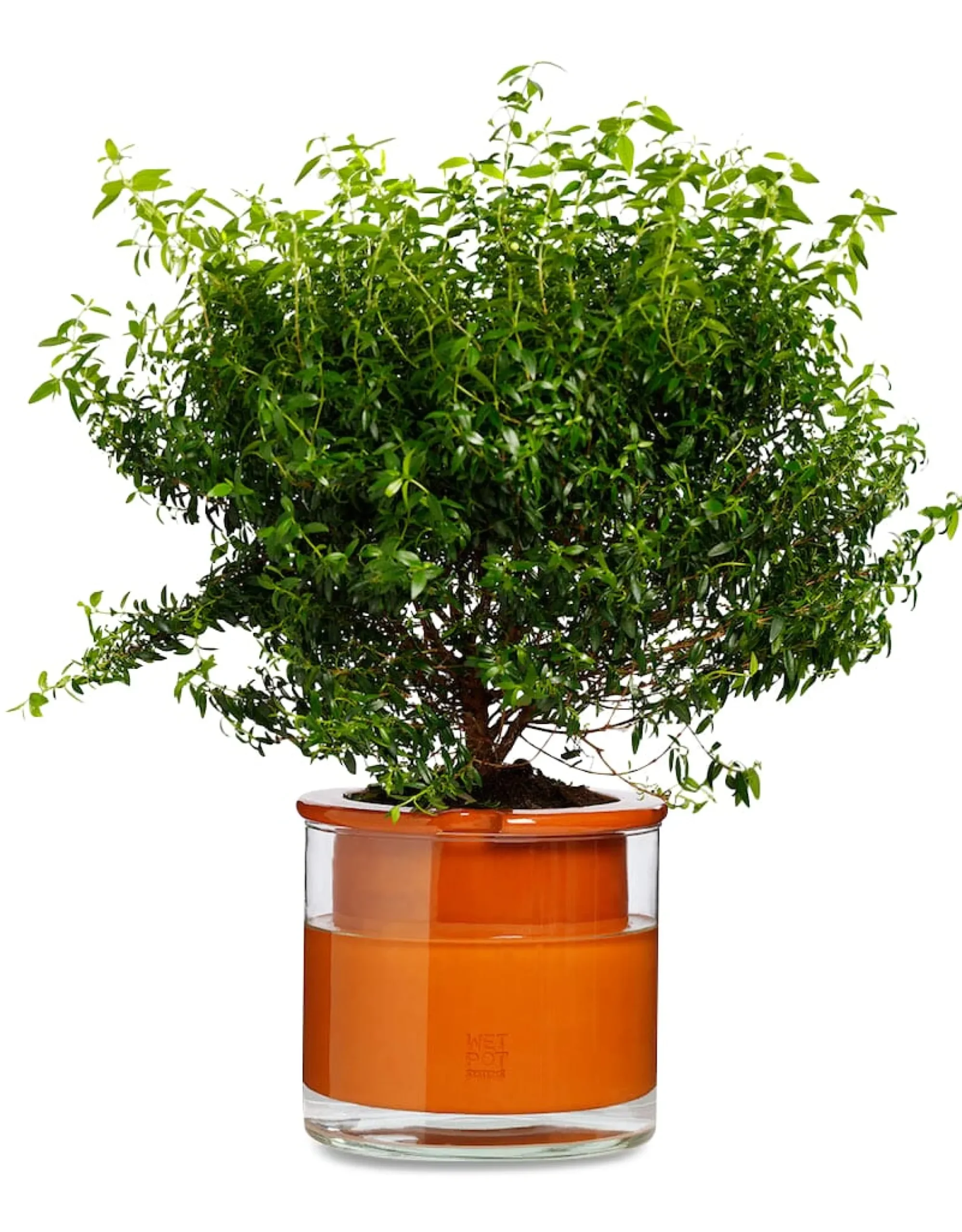 Pflanzgefäße * Wet Pot Systems Pflanzgefäß