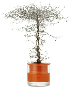 Pflanzgefäße * Wet Pot Systems Pflanzgefäß