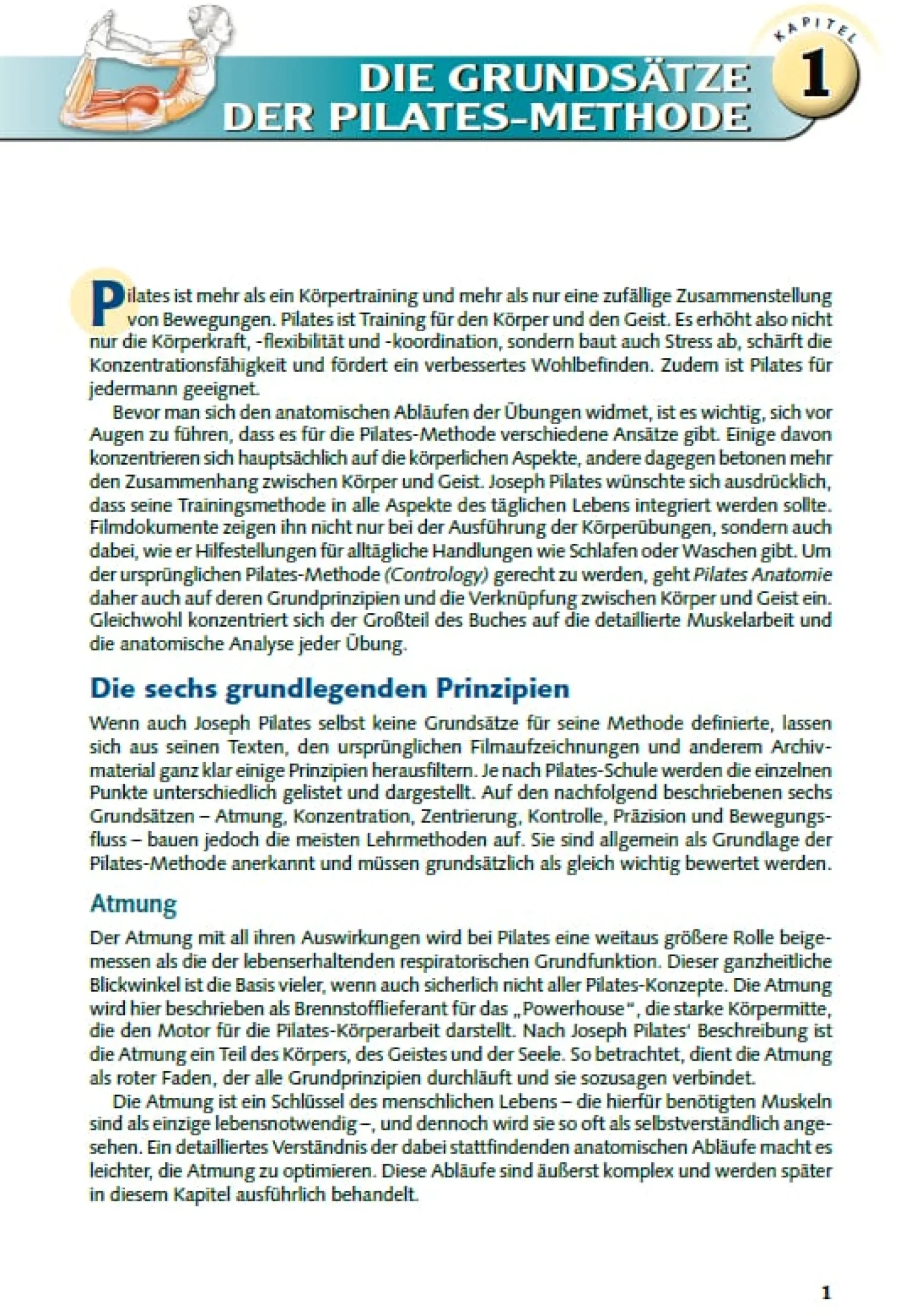 Ratgeber * Stiebner Pilates Anatomie