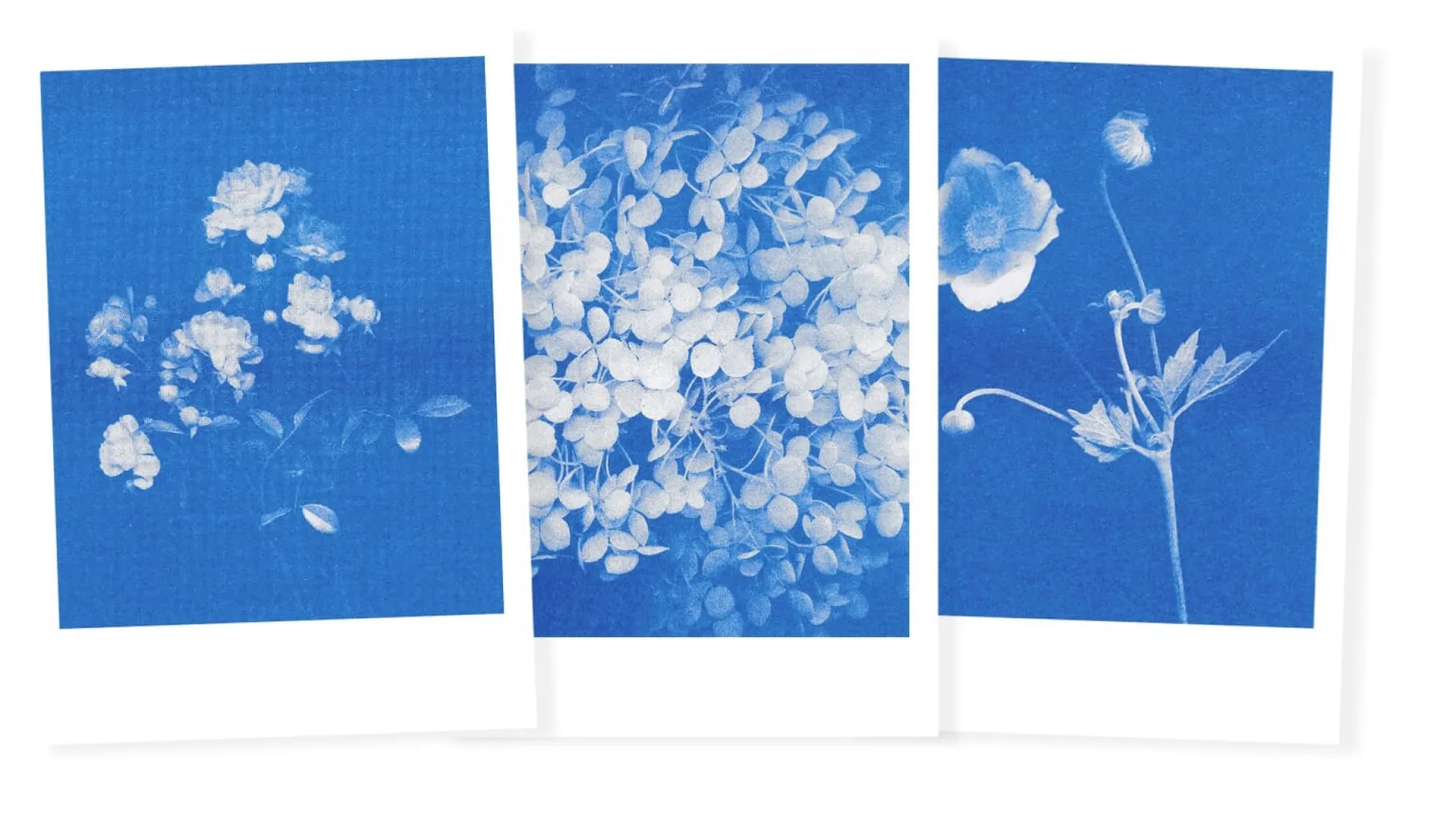 Briefpapier|Papeterie * Herr & Frau Rio Postkarten-Set Riso