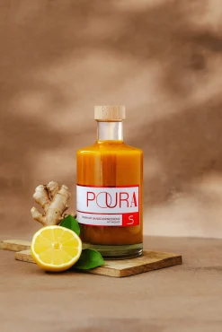 Sirup * Goodiegetter Poura Premium Bio-Sanddornessenz
