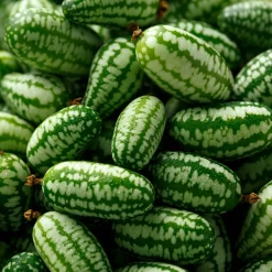 Gemüsesamen|Gärtnern * Manufactum Saatgut Gemüse und Blumen für Kinder