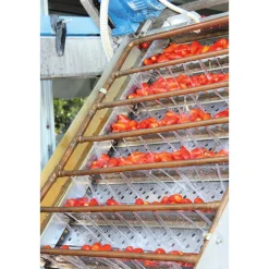 Obst & Gemüse * Manufactum San-Marzano-Tomaten