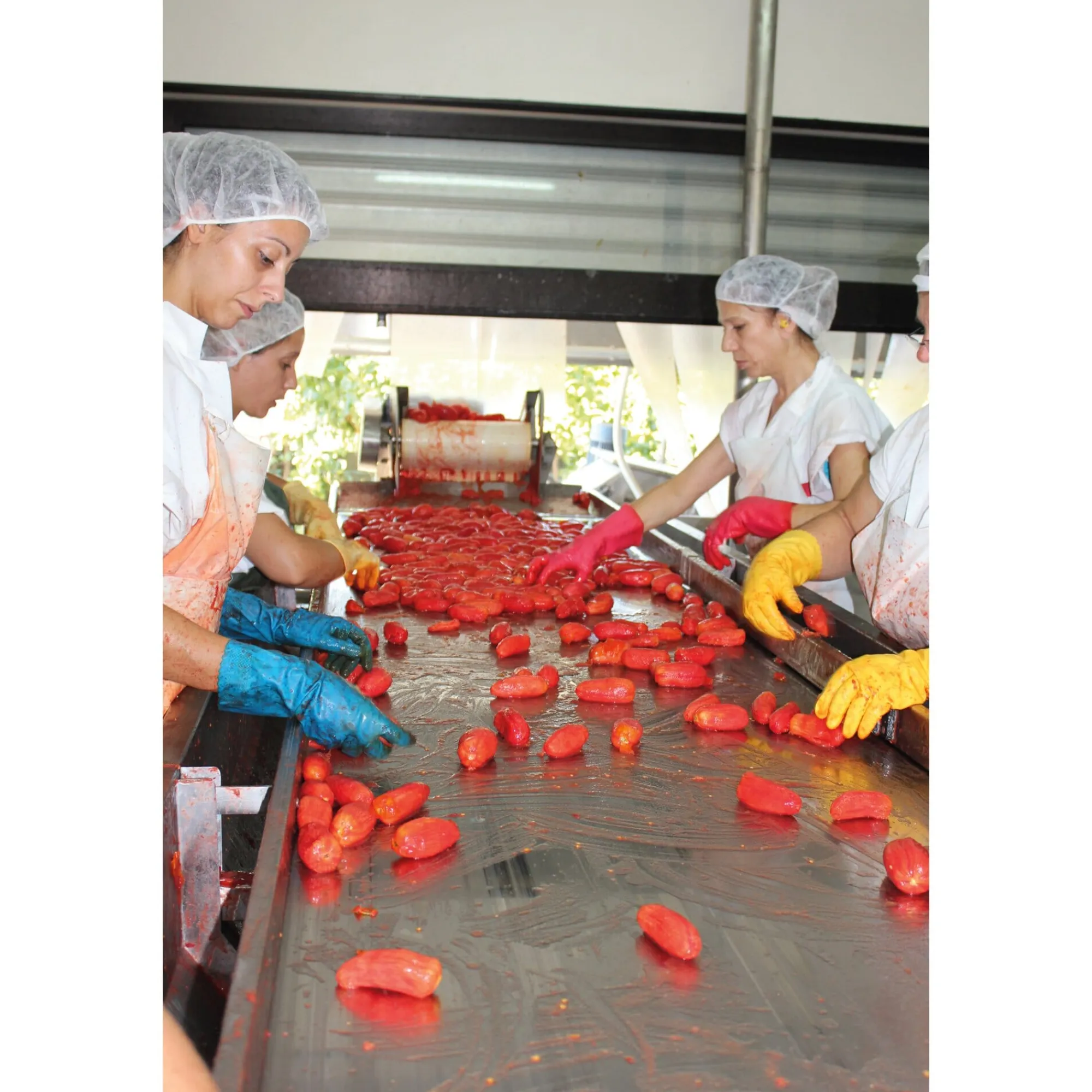 Obst & Gemüse * Manufactum San-Marzano-Tomaten