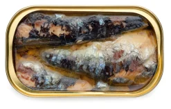 Fischkonserven * NURI Sardinen in scharfem Olivenöl