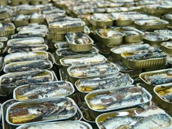 Fischkonserven * NURI Sardinen in scharfem Olivenöl