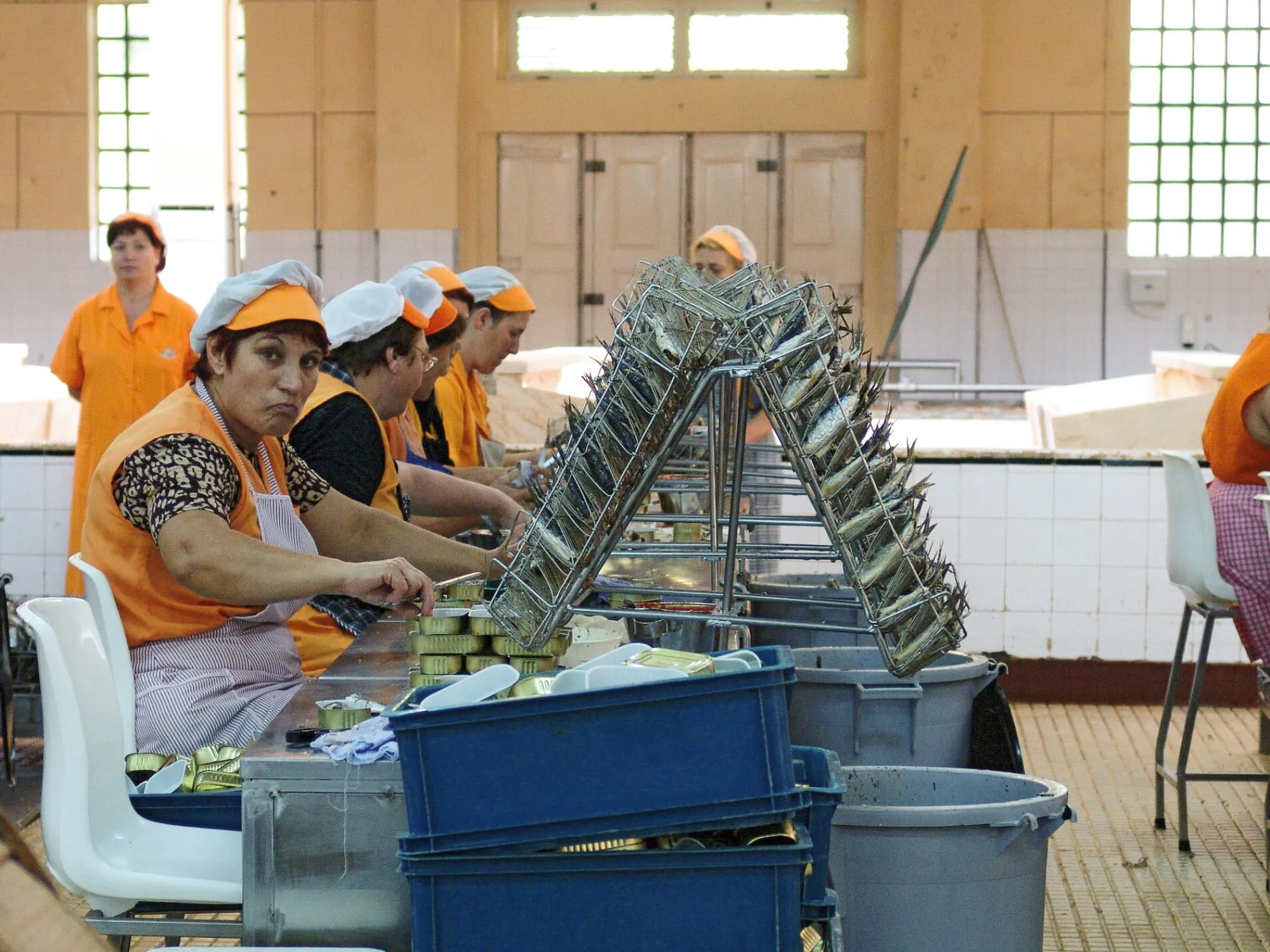 Fischkonserven * NURI Sardinen in scharfem Olivenöl