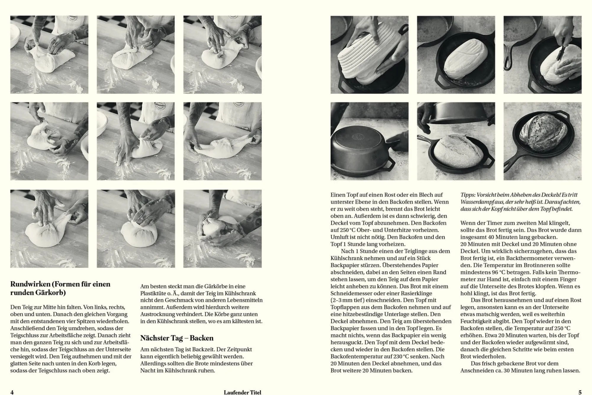 Kochen & Backen|Ratgeber * Die Gestalten Verlag Sauerteig für alle