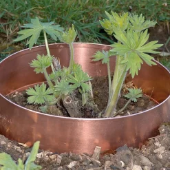 Pflanzenschutz * Slug Rings Schneckenring Kupfer
