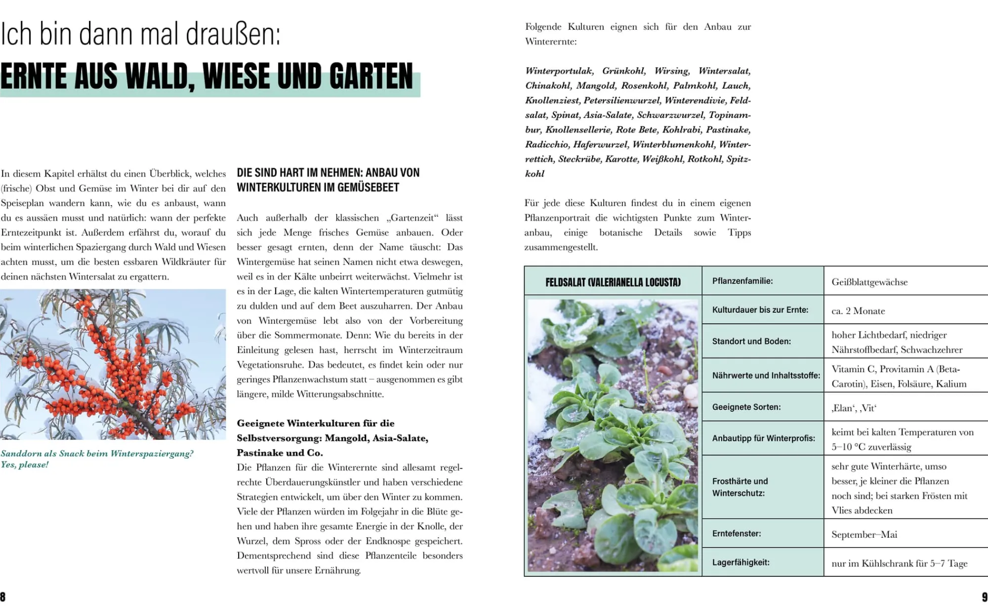 Garten & Natur|Ratgeber * Löwenzahn Verlag Selbstversorgung im Winter