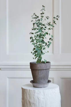 Pflanzgefäße * Bergs Potter Simona Pflanztopf mit Untersetzer