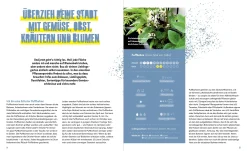 Garten & Natur|Sachbücher * Löwenzahn Verlag Stadtgemüse