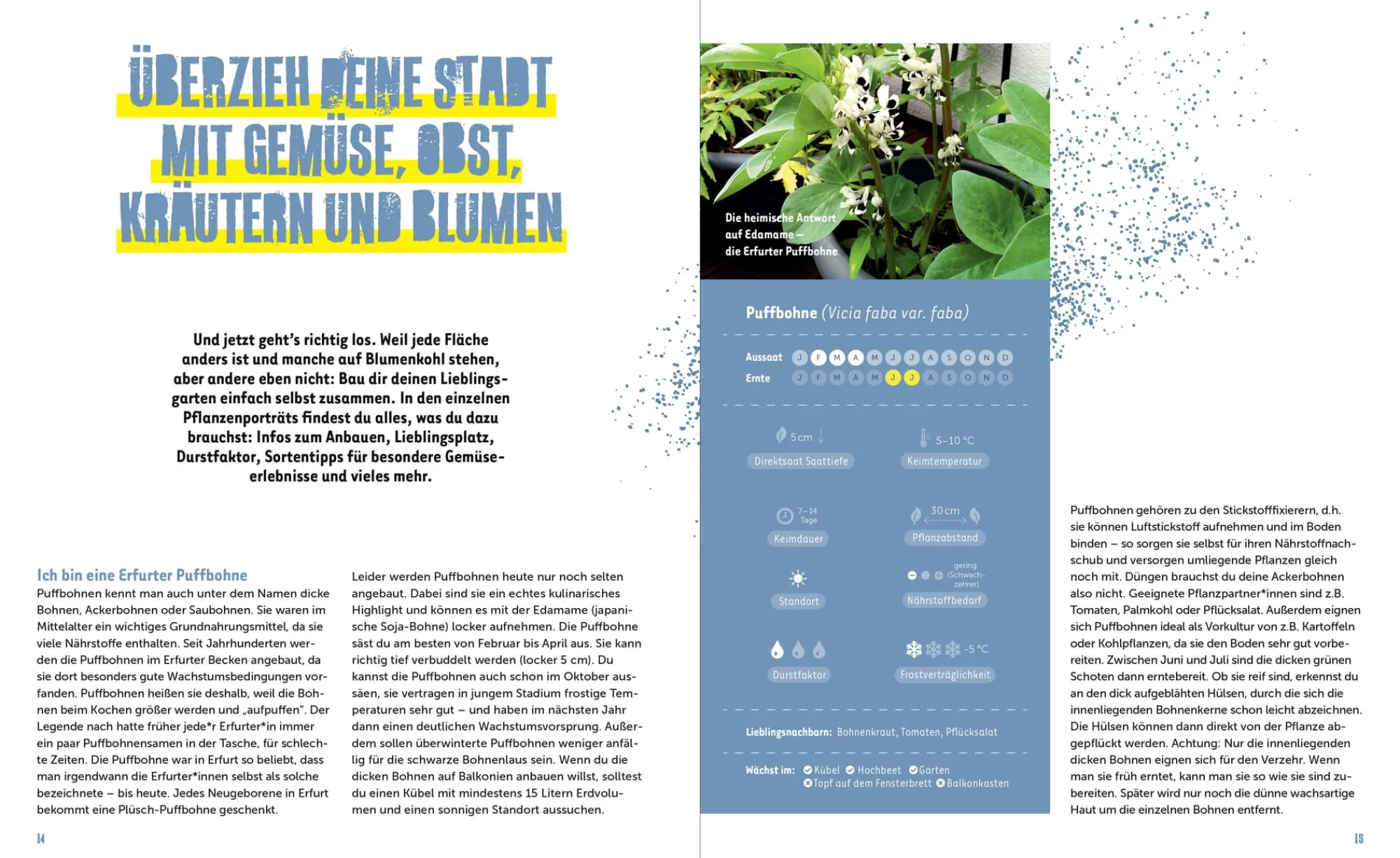 Garten & Natur|Sachbücher * Löwenzahn Verlag Stadtgemüse