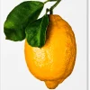 Kochen & Backen * TASCHEN The Gourmand's Lemon