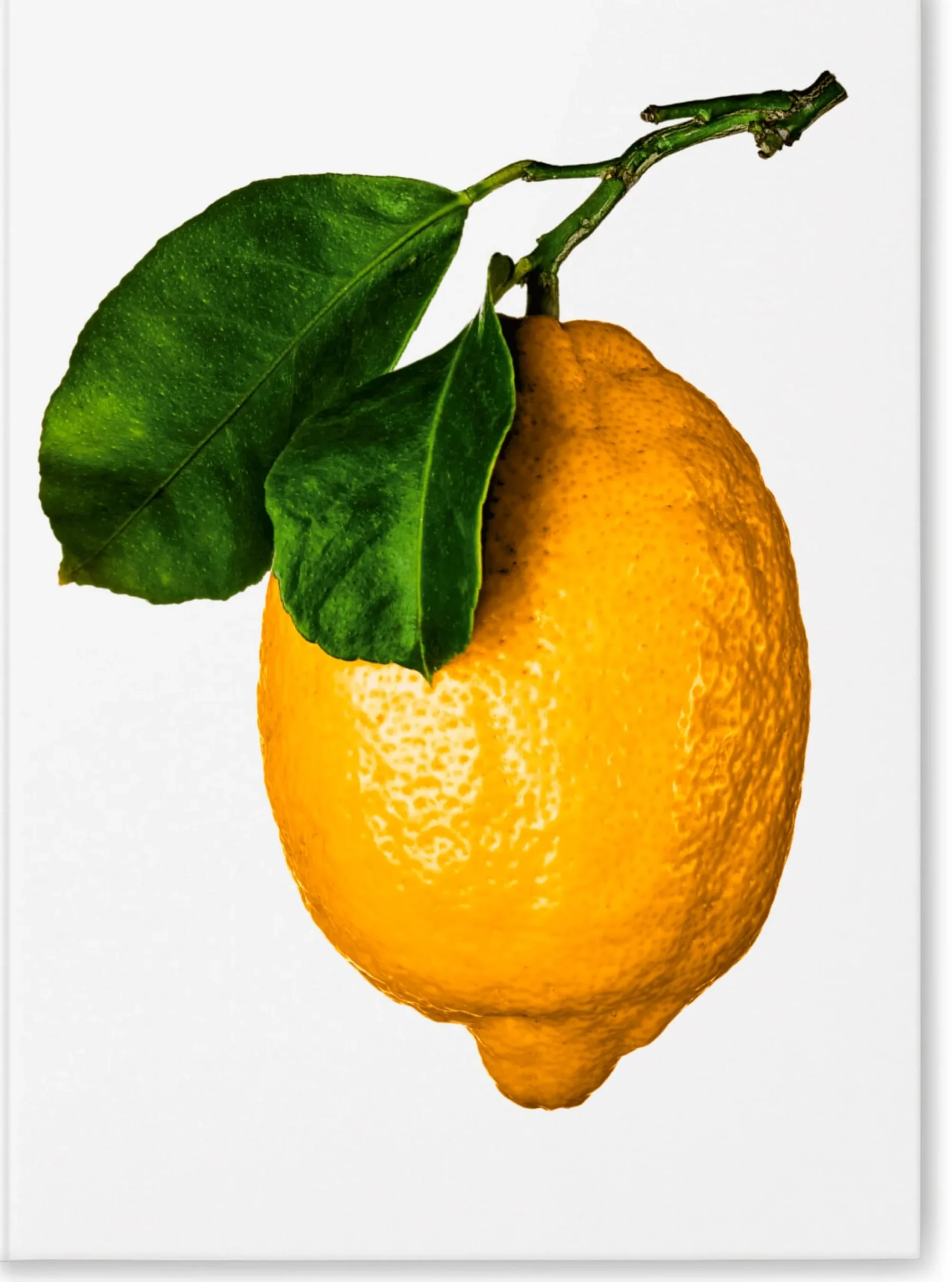 Kochen & Backen * TASCHEN The Gourmand's Lemon