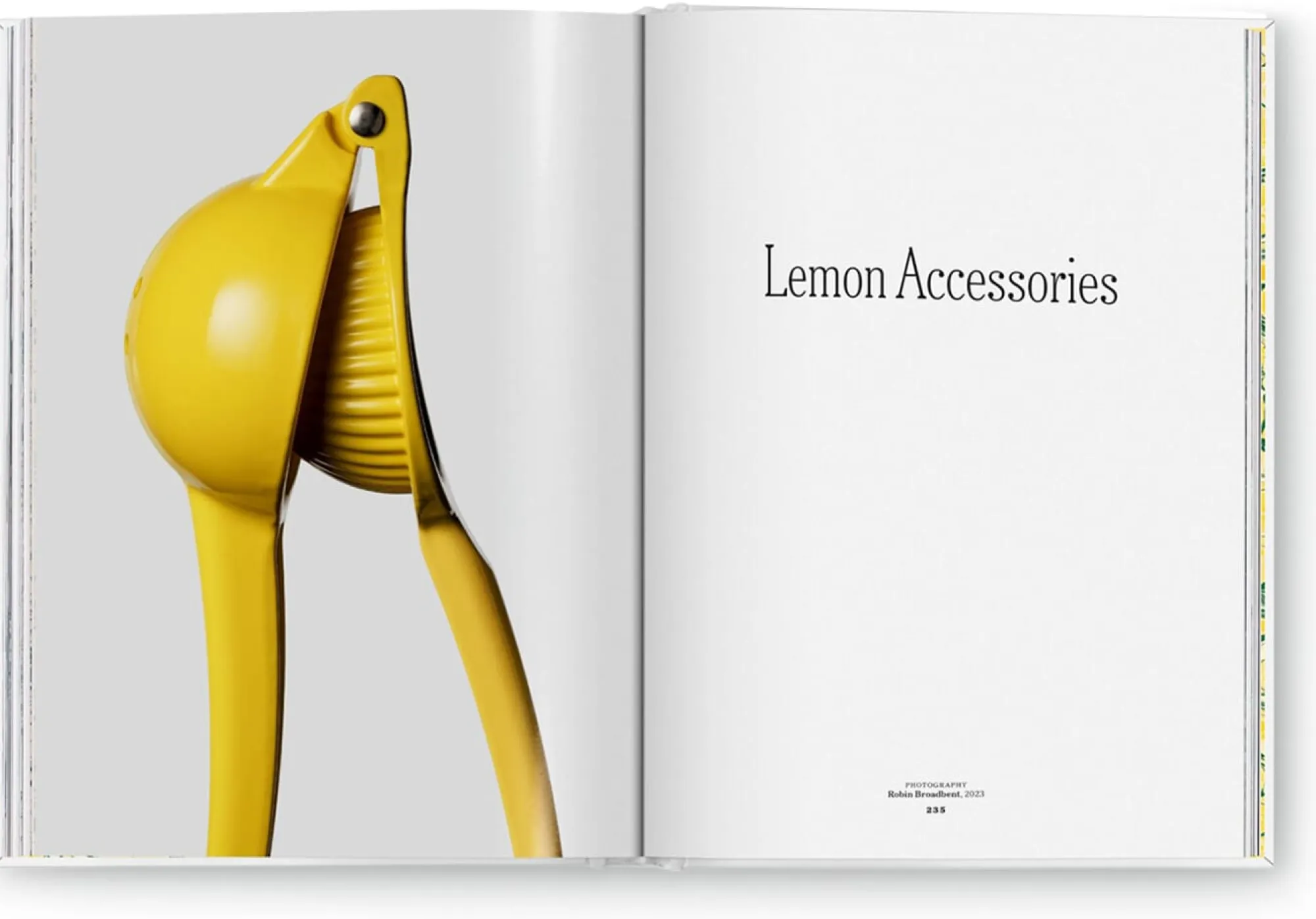 Kochen & Backen * TASCHEN The Gourmand's Lemon