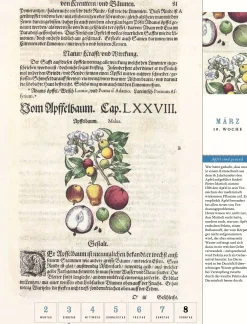 Wandkalender|Zeitplaner & Kalender * Jan Thorbecke Verlag Thorbecke Apfel-Kalender 2026