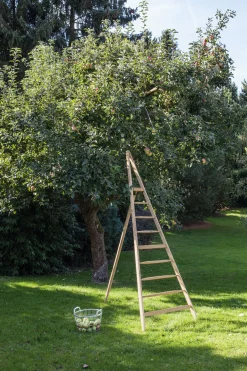 Werkzeug & Werkstatt|Transport & Ernte * Jäger Leitern und Holzwaren Thüringer Obstleiter