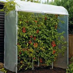 Gewächshäuser * Brühwiler Maschinen Tomatenhaus Stahlrahmen