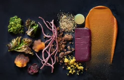 Kochen & Backen * Becker Joest Volk Verlag Toppings