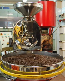 Kaffee|Espressokocher * Trinci Torrefazione di Caffè Trinci Espresso ganze Bohne