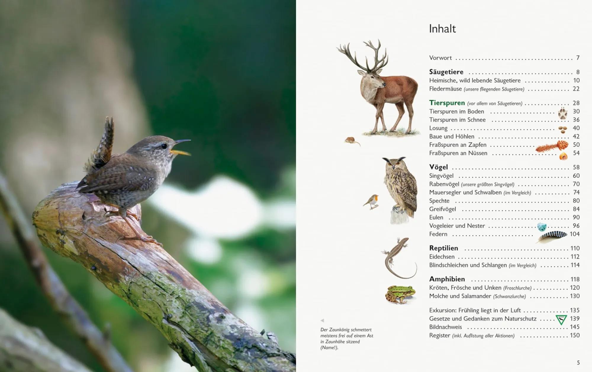 Garten & Natur|Ratgeber * Wawra Verlag Unserer Natur auf der Spur