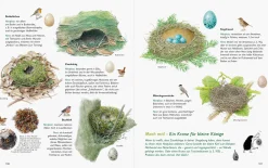 Garten & Natur|Ratgeber * Wawra Verlag Unserer Natur auf der Spur