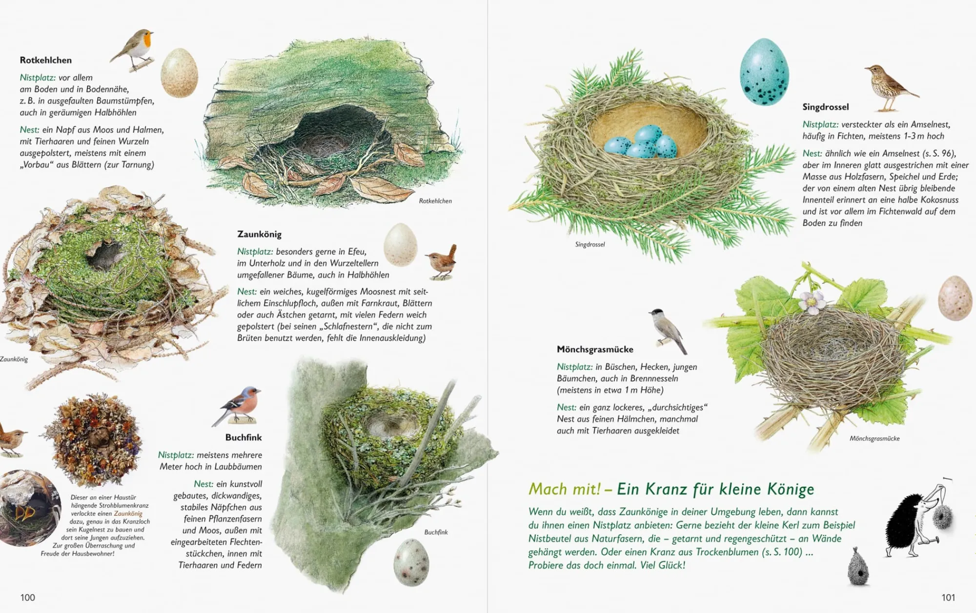Garten & Natur|Ratgeber * Wawra Verlag Unserer Natur auf der Spur