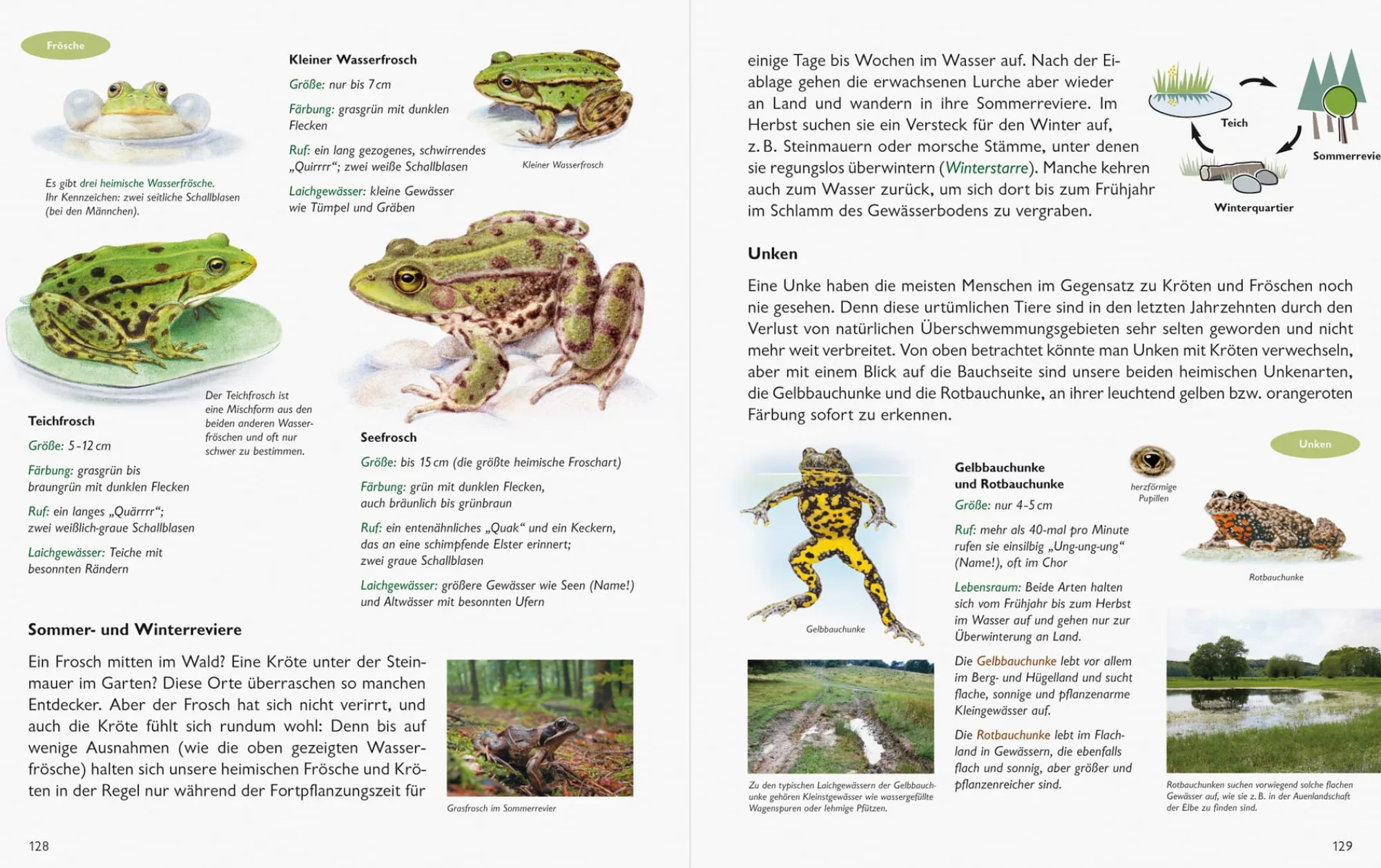 Garten & Natur|Ratgeber * Wawra Verlag Unserer Natur auf der Spur